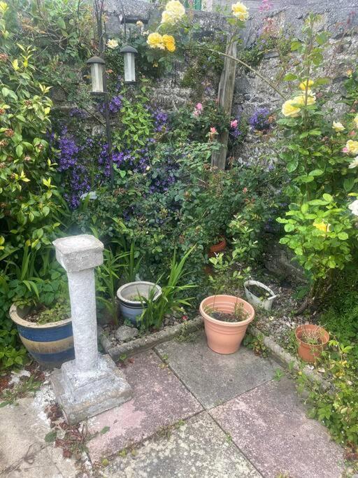 Ivybridge Cottage Extérieur photo